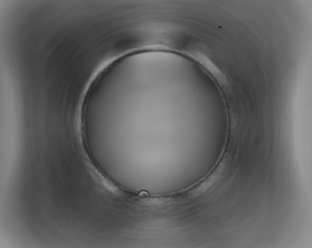 X0000110681240200906191358