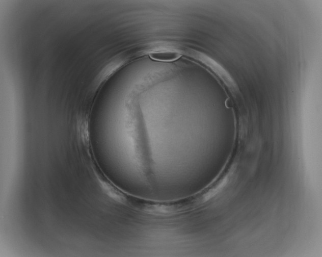 X0000110681241200906191359