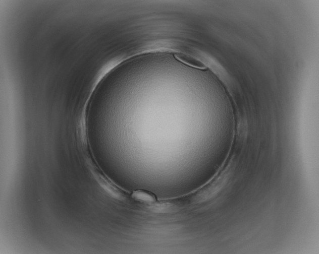 X0000110681242200906191359