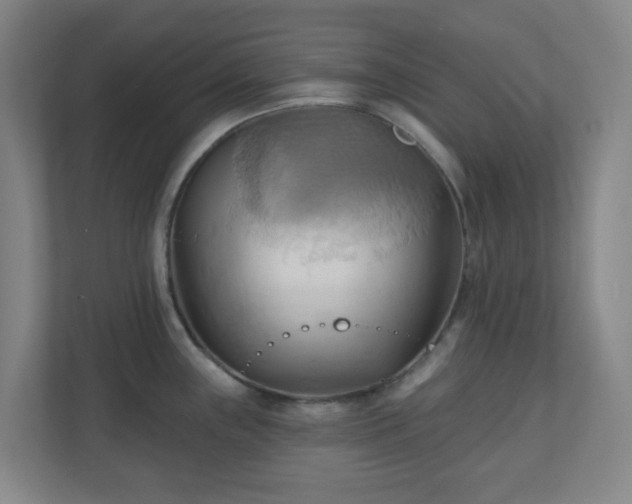 X0000110681243200906191359