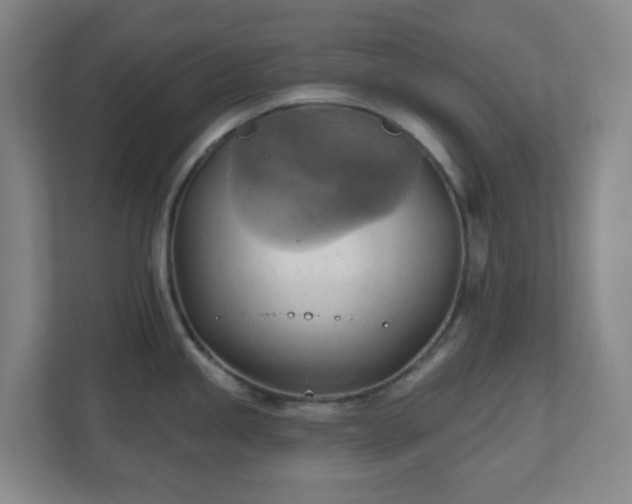 X0000110681245200906191359