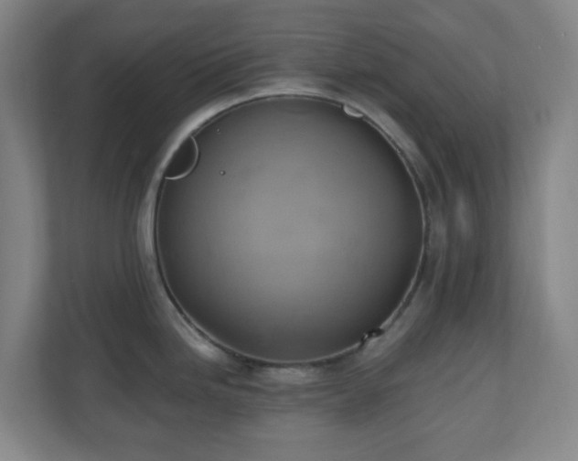 X0000110681246200906191359