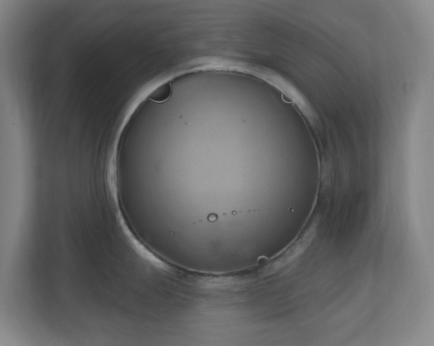 X0000110681247200906191359