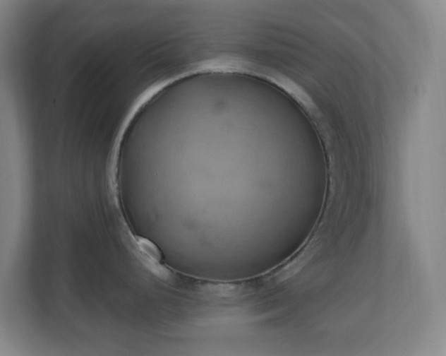 X0000110681248200906191359
