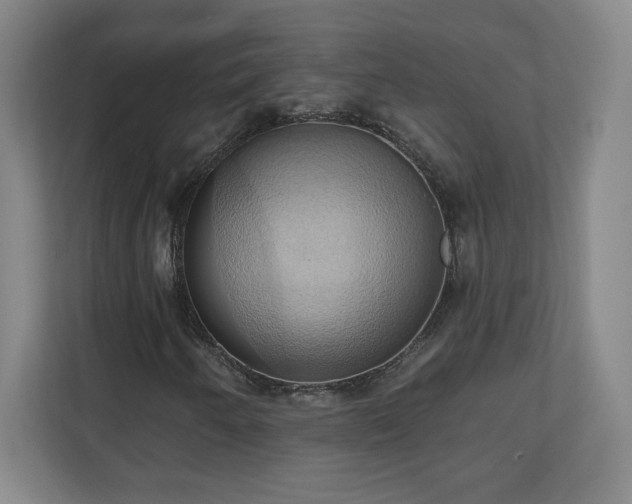 X0000110681250200906191358