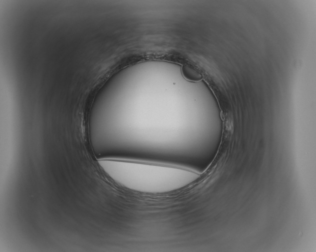 X0000110681252200906191358