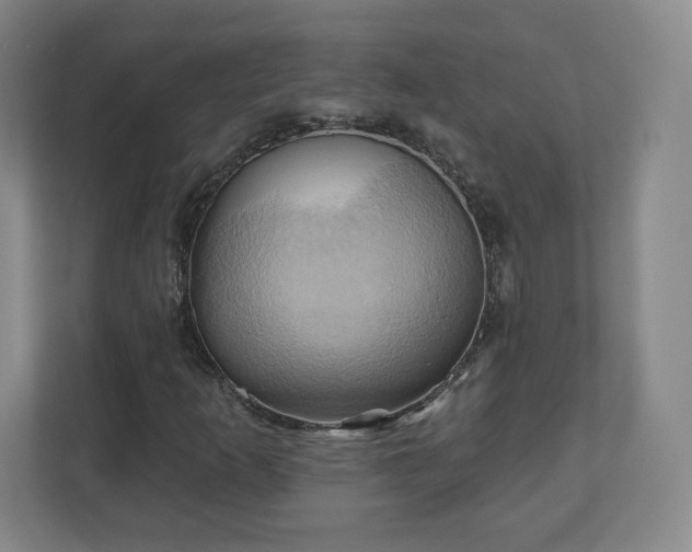 X0000110681253200906191358