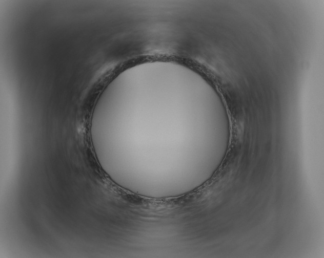 X0000110681254200906191358