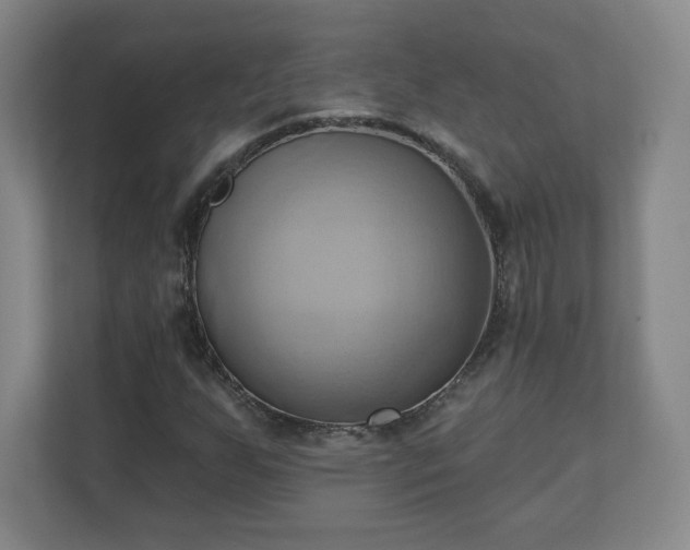 X0000110681255200906191358
