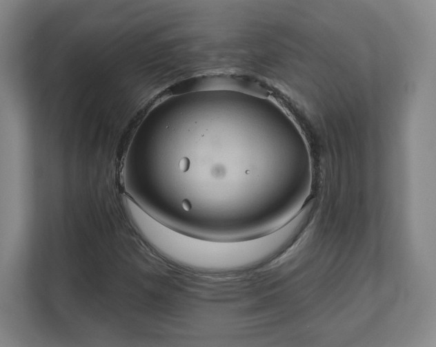 X0000110681257200906191358