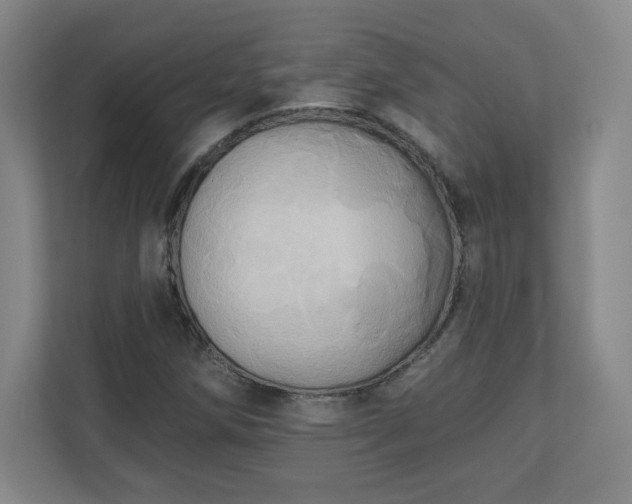 X0000110681258200906191358
