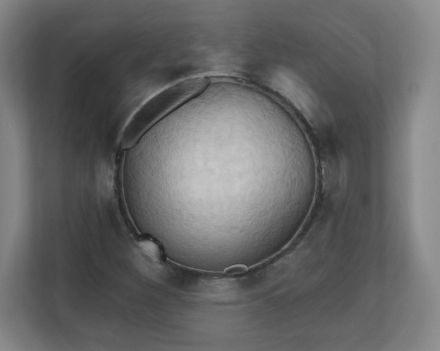 X0000110681260200906191358