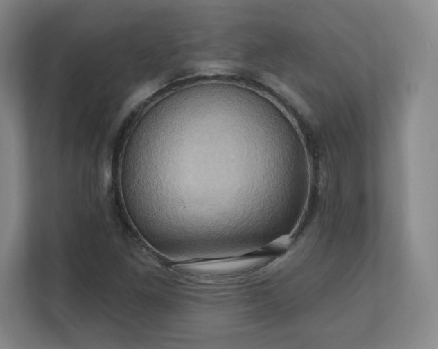X0000110681261200906191358