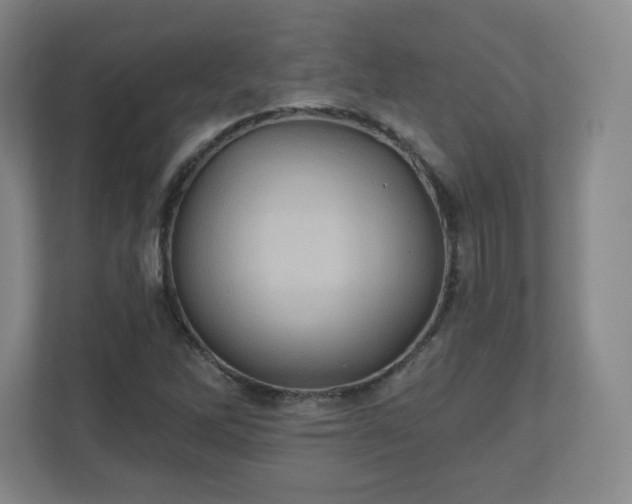 X0000110681262200906191358