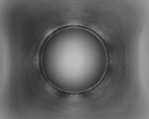 X0000110681264200906191358