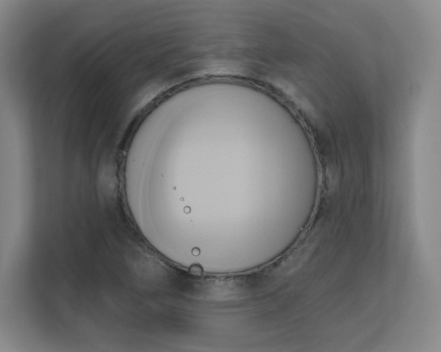 X0000110681266200906191358