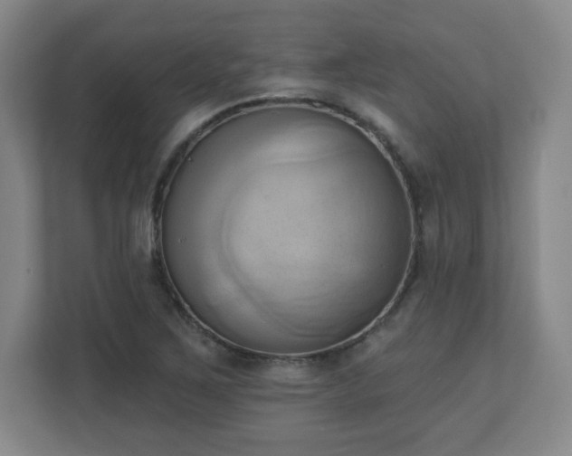X0000110681267200906191358