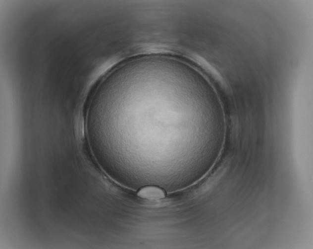 X0000110681269200906191358