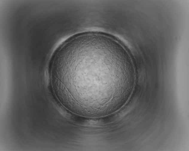 X0000110681271200906191358