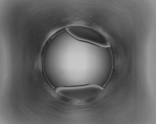 X0000110681272200906191358