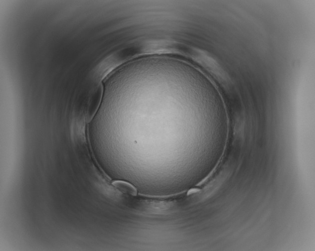 X0000110681273200906191358