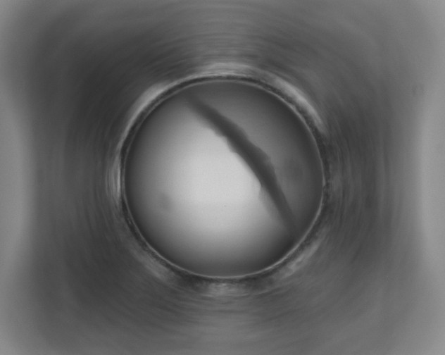 X0000110681275200906191358