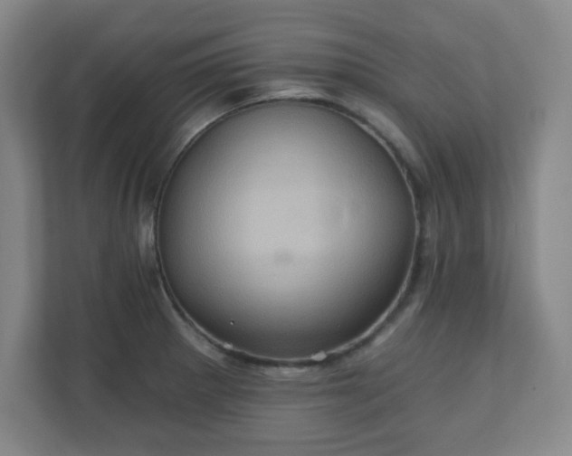 X0000110681281200906191358
