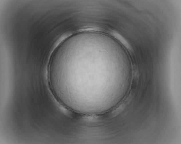 X0000110681282200906191358