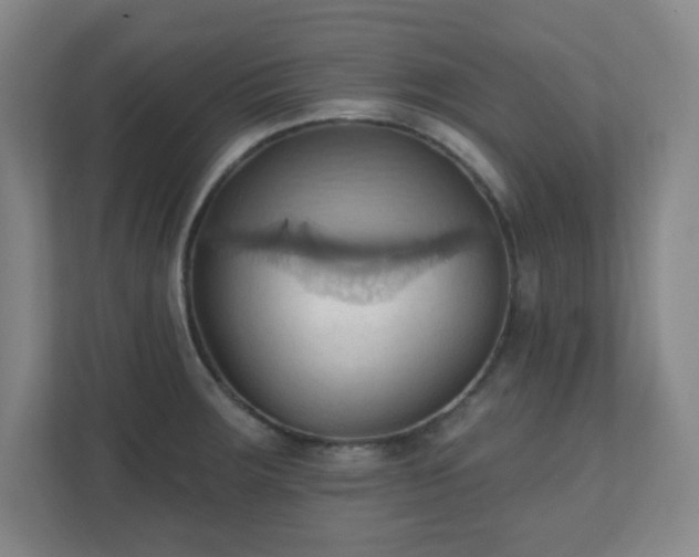 X0000110681283200906191358