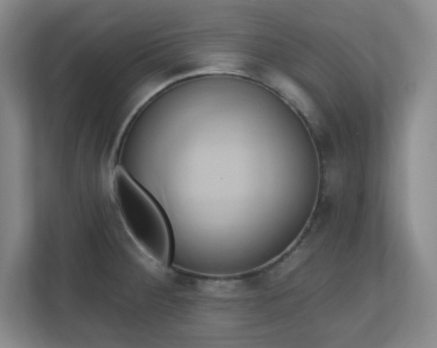 X0000110681284200906191358