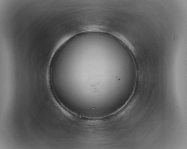 X0000110681285200906191358