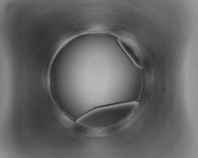 X0000110681288200906191357