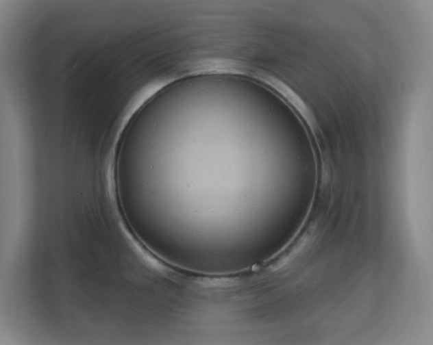 X0000110681293200906191357