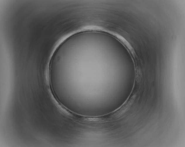 X0000110681295200906191357