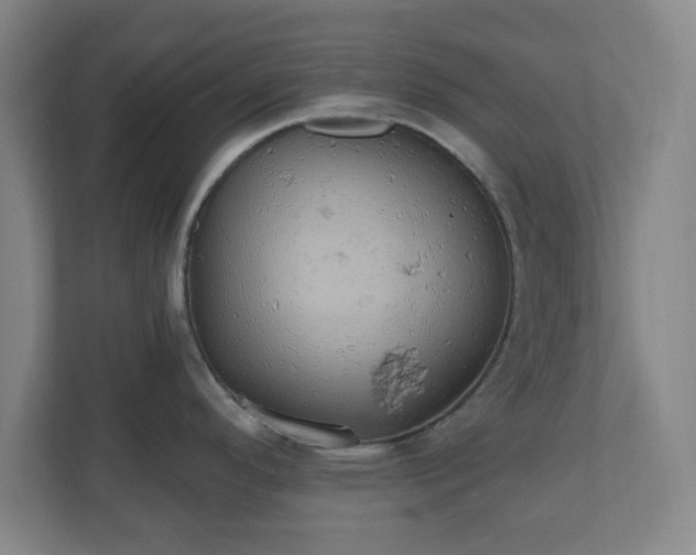 X0000110681296200906191357