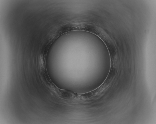 X0000110681298200906191357