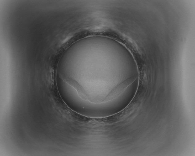 X0000110681301200906191357