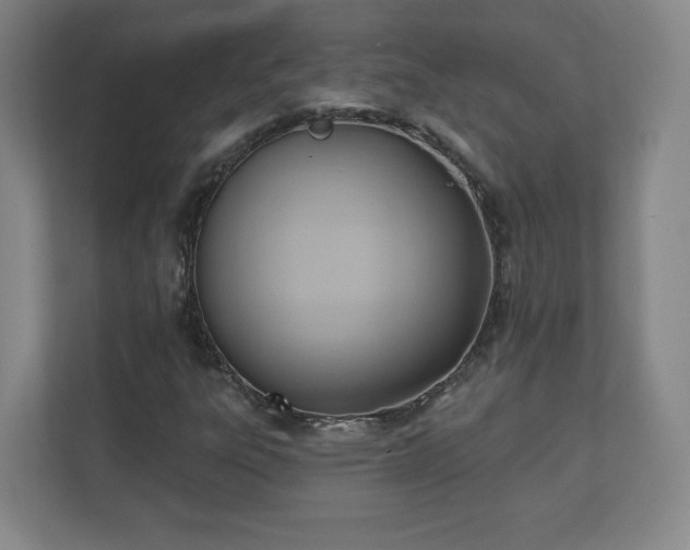 X0000110681303200906191357