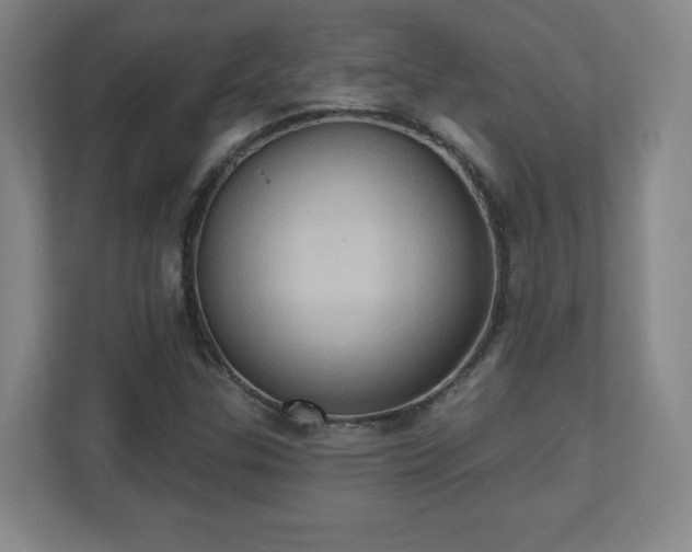 X0000110681307200906191357