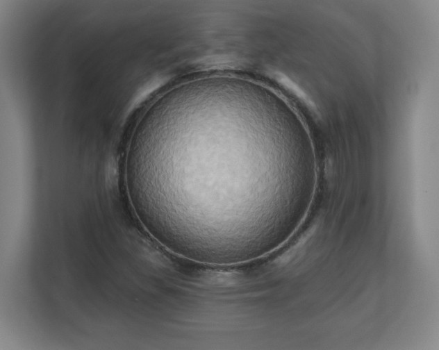 X0000110681309200906191357