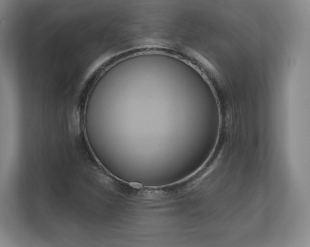 X0000110681310200906191357