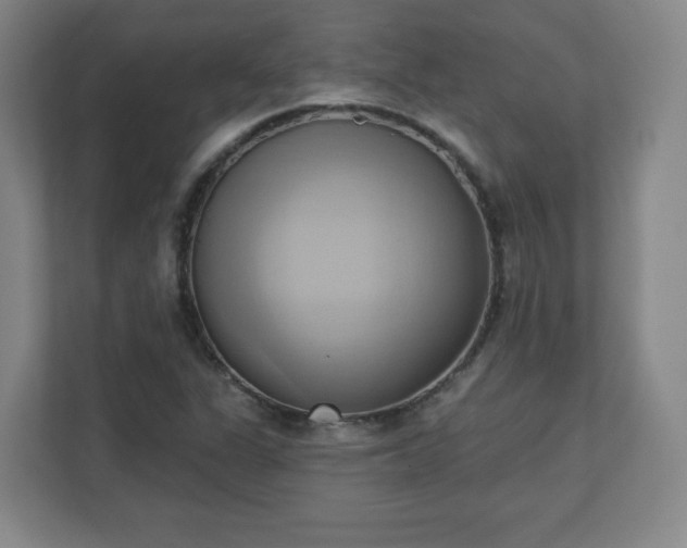 X0000110681311200906191357