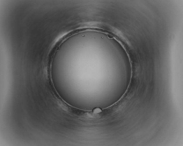 X0000110681312200906191357