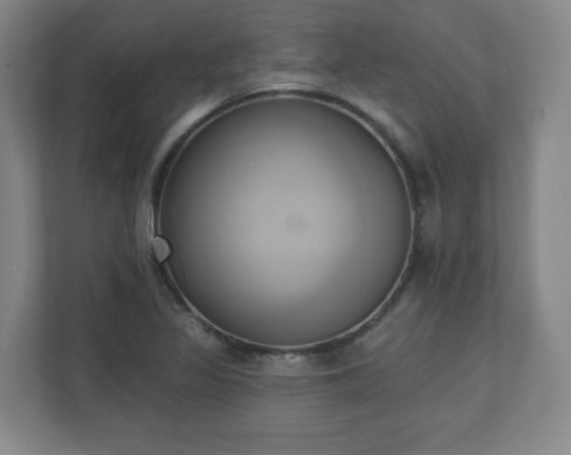 X0000110681317200906191357