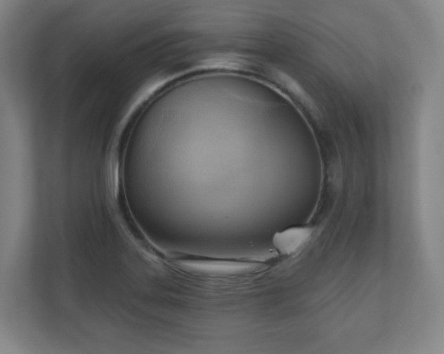 X0000110681323200906191357