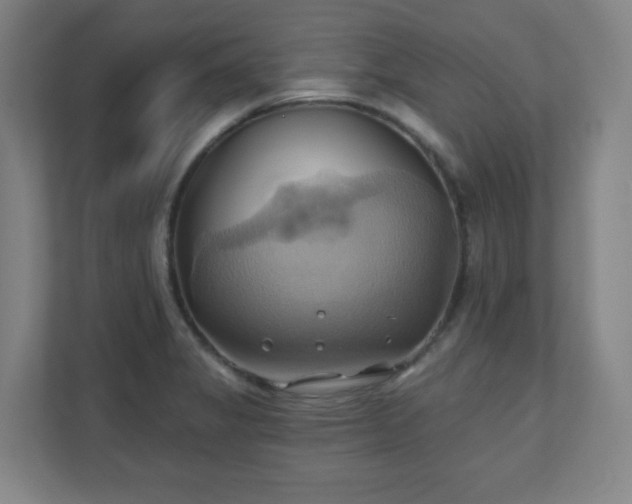 X0000110681325200906191357