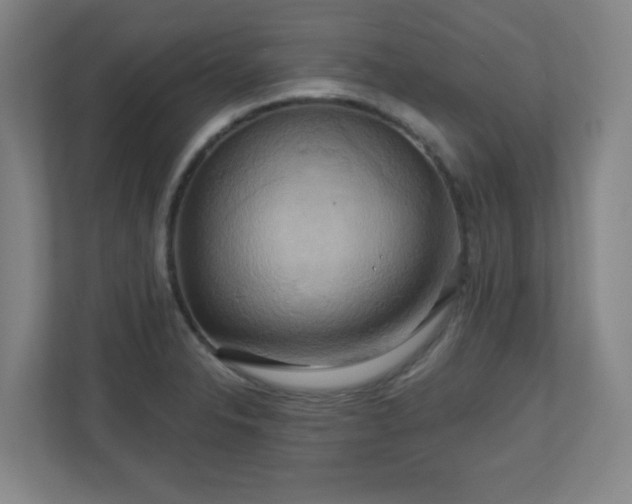 X0000110681326200906191357