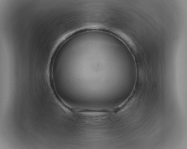 X0000110681327200906191357