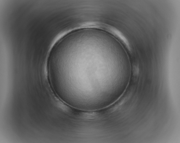 X0000110681328200906191357