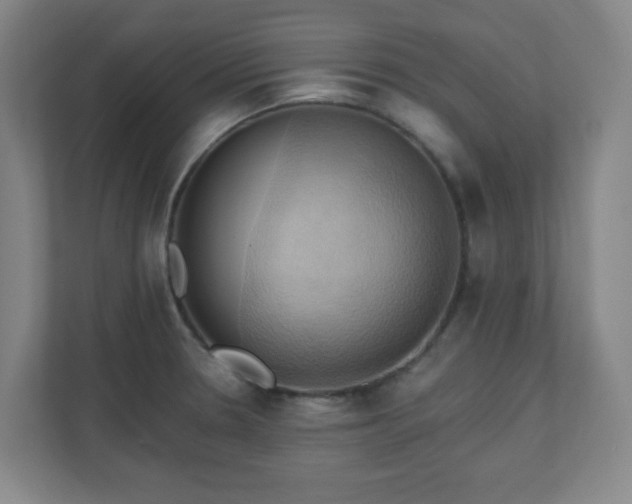 X0000110681330200906191357